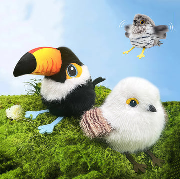 Transform Playtime into Adventure